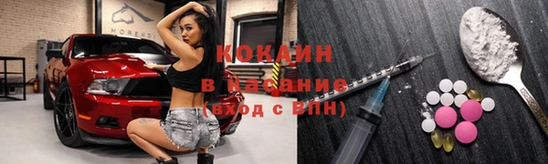 тгк Алзамай