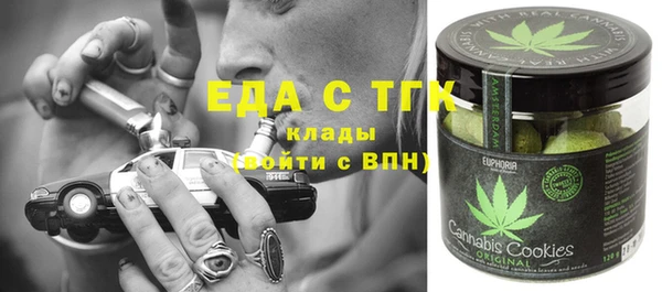 тгк Алзамай